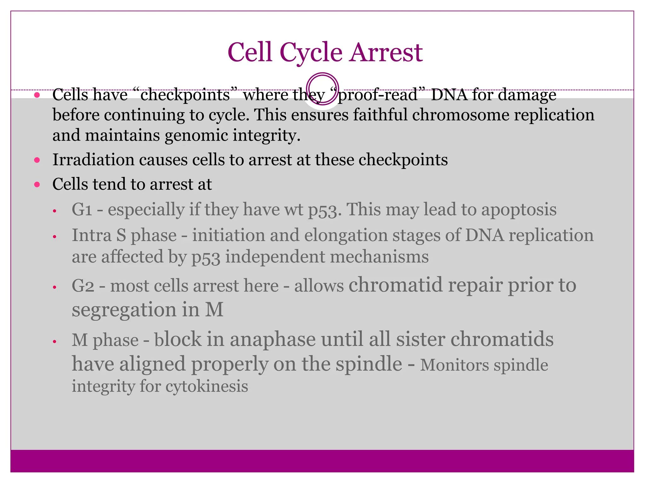 Cell Cycle Arrest
 Cells have “checkpoints” where they “proof-read” DNA for damage
before continuing to cycle. This ensures faithful chromosome replication
and maintains genomic integrity.
 Irradiation causes cells to arrest at these checkpoints
 Cells tend to arrest at
• G1 - especially if they have wt p53. This may lead to apoptosis
• Intra S phase - initiation and elongation stages of DNA replication
are affected by p53 independent mechanisms
• G2 - most cells arrest here - allows chromatid repair prior to
segregation in M
• M phase - block in anaphase until all sister chromatids
have aligned properly on the spindle - Monitors spindle
integrity for cytokinesis
 