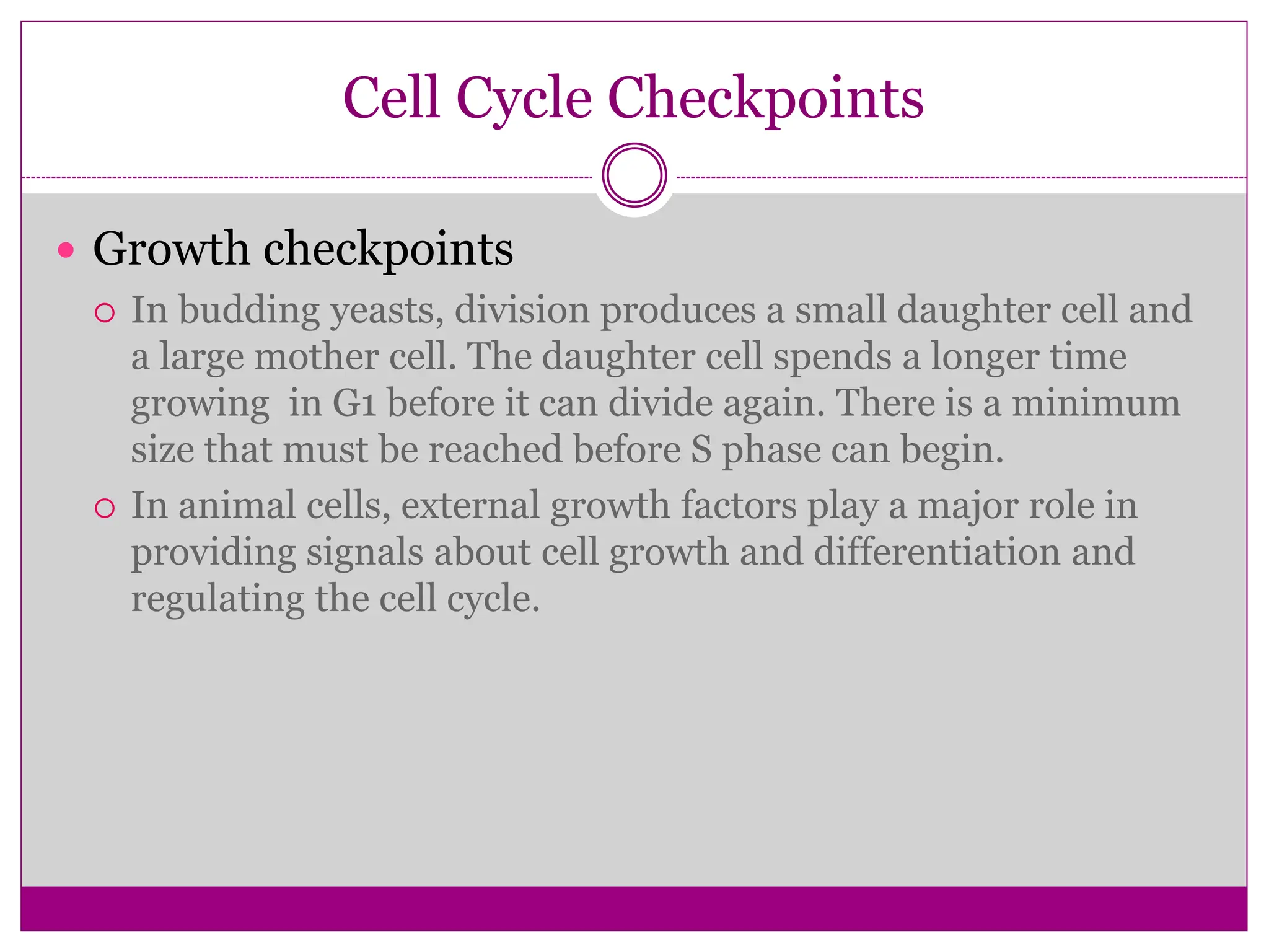 Cell Cycle Checkpoints
 Growth checkpoints
 In budding yeasts, division produces a small daughter cell and
a large mother cell. The daughter cell spends a longer time
growing in G1 before it can divide again. There is a minimum
size that must be reached before S phase can begin.
 In animal cells, external growth factors play a major role in
providing signals about cell growth and differentiation and
regulating the cell cycle.
 