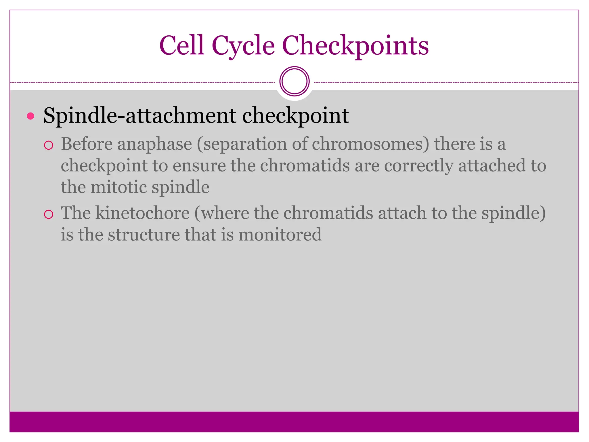 Cell Cycle Checkpoints
 Spindle-attachment checkpoint
 Before anaphase (separation of chromosomes) there is a
checkpoint to ensure the chromatids are correctly attached to
the mitotic spindle
 The kinetochore (where the chromatids attach to the spindle)
is the structure that is monitored
 