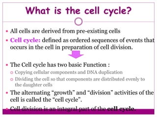 cell cycle and control checkpoints throght cyclin cdk complex | PDF