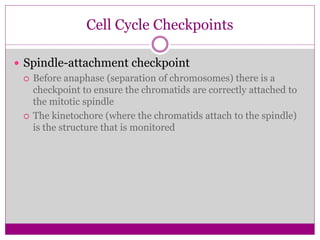 Cell cycle | PPTX