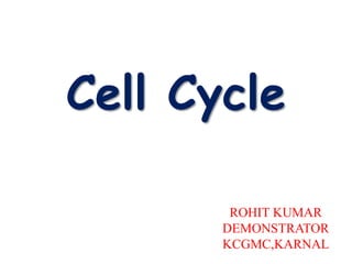 Cell Cycle
ROHIT KUMAR
DEMONSTRATOR
KCGMC,KARNAL
 