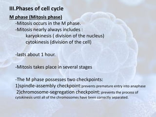 M phase (Mitosis phase)
-Mitosis occurs in the M phase.
-Mitosis nearly always includes :
karyokinesis ( division of the nucleus)
cytokinesis (division of the cell)
-lasts about 1 hour.
-Mitosis takes place in several stages
-The M phase possesses two checkpoints:
1)spindle-assembly checkpoint:prevents premature entry into anaphase
2)chromosome-segregation checkpoint: prevents the process of
cytokinesis until all of the chromosomes have been correctly separated.
III.Phases of cell cycle
 