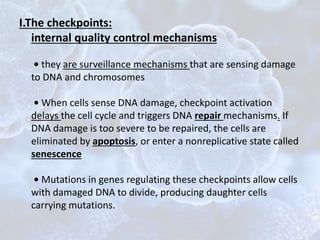 I.The checkpoints:
internal quality control mechanisms
• they are surveillance mechanisms that are sensing damage
to DNA and chromosomes
• When cells sense DNA damage, checkpoint activation
delays the cell cycle and triggers DNA repair mechanisms. If
DNA damage is too severe to be repaired, the cells are
eliminated by apoptosis, or enter a nonreplicative state called
senescence
• Mutations in genes regulating these checkpoints allow cells
with damaged DNA to divide, producing daughter cells
carrying mutations.
 
