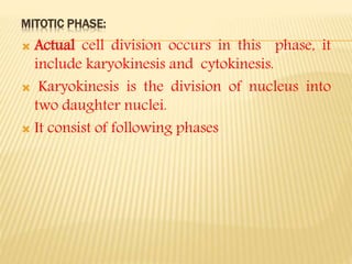 MITOTIC PHASE:
 Actual cell division occurs in this phase, it
include karyokinesis and cytokinesis.
 Karyokinesis is the division of nucleus into
two daughter nuclei.
 It consist of following phases
 