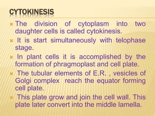 CYTOKINESIS
 The division of cytoplasm into two
daughter cells is called cytokinesis.
 It is start simultaneously with telophase
stage.
 In plant cells it is accomplished by the
formation of phragmoplast and cell plate.
 The tubular elements of E.R. , vesicles of
Golgi complex reach the equator forming
cell plate.
 This plate grow and join the cell wall. This
plate later convert into the middle lamella.
 