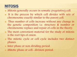 MITOSIS
 Mitosis generally occurs in somatic (vegetative) cell.
 It is the process by which cell divides with sets of
chromosome exactly similar to the parent cell.
 Thus number of cells increase without any change in
the genetic composition i.e. structure & number or
chromosome replace and repair of cells in the theory.
 The most convenient material for the study of mitosis
is the root tips of onion.
 The mitotic cycle or cell cycle includes two distinct
phases.
 Inter phase or non dividing period.
 Mitotic phase or cell- division period.
 