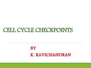 CELL CYCLE CHECKPOINTS
BY
K. RAVICHANDRAN
 