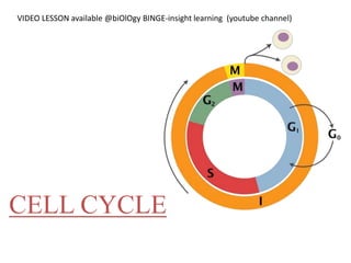 CELL CYCLE
VIDEO LESSON available @biOlOgy BINGE-insight learning (youtube channel)
 