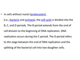 Cell cycle