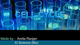Made by - Amita Ranjan
XI Science (Bio)
 