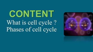 Cell cycle | PPTX