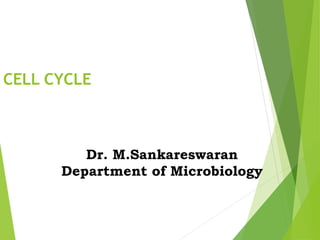 CELL CYCLE
Dr. M.Sankareswaran
Department of Microbiology
 