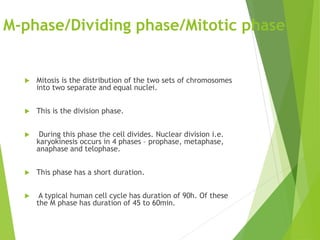 M-phase/Dividing phase/Mitotic phase
 Mitosis is the distribution of the two sets of chromosomes
into two separate and equal nuclei.
 This is the division phase.
 During this phase the cell divides. Nuclear division i.e.
karyokinesis occurs in 4 phases – prophase, metaphase,
anaphase and telophase.
 This phase has a short duration.
 A typical human cell cycle has duration of 90h. Of these
the M phase has duration of 45 to 60min.
 
