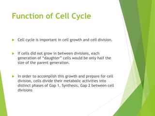 Function of Cell Cycle
 Cell cycle is important in cell growth and cell division.
 If cells did not grow in between divisions, each
generation of “daughter” cells would be only half the
size of the parent generation.
 In order to accomplish this growth and prepare for cell
division, cells divide their metabolic activities into
distinct phases of Gap 1, Synthesis, Gap 2 between cell
divisions
 