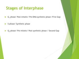 Stages of Interphase
 G1 phase/ Post mitotic/ Pre-DNA synthetic phase /First Gap
 S-phase/ Synthetic phase
 G2-phase/ Pre mitotic/ Post synthetic phase / Second Gap
 