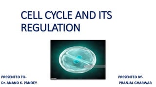 CELL CYCLE AND ITS
REGULATION
PRESENTED TO- PRESENTED BY-
Dr. ANAND K. PANDEY PRANJAL GHARWAR
 