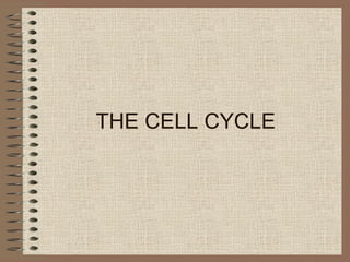 THE CELL CYCLE
 