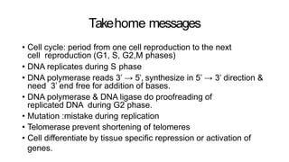 Cell cycle.pptx