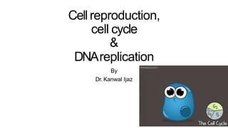 Cell reproduction,
cell cycle
&
DNAreplication
By
Dr. Kanwal Ijaz
 