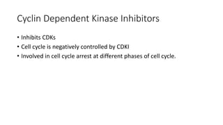 CELL CYCLE.pptx