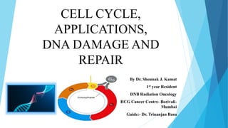 CELL CYCLE,
APPLICATIONS,
DNA DAMAGE AND
REPAIR
By Dr. Shounak J. Kamat
1st year Resident
DNB Radiation Oncology
HCG Cancer Centre- Borivali-
Mumbai
Guide:- Dr. Trinanjan Basu
 