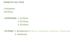 PHASES OF CELL CYCLE
1.Interphase
2.M Phase
• INTERPHASE- 1. G1 Phase
2. G2 Phase
3. G3 Phase
• M PHASE -1. Karyokinesis (Prophase, Metaphase, Anaphase, Telophase)
2. Cytokinesis
 