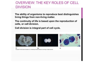 OVERVIEW: THE KEY ROLES OF CELL
DIVISION
The ability of organisms to reproduce best distinguishes
living things from non-living matter.
The continuity of life is based upon the reproduction of
cells, or cell division.
Cell division is integral part of cell cycle.
 