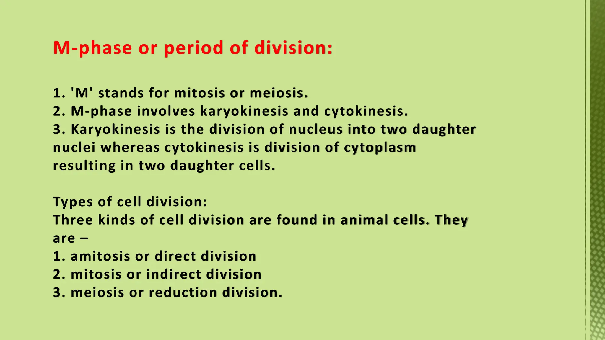 Phases of Cell Cycle-XI Biology -Tarini.pptx