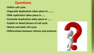 Phases of Cell Cycle-XI Biology -Tarini.pptx