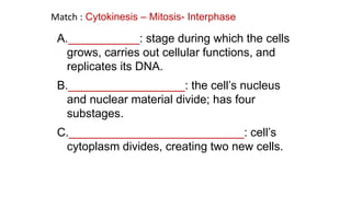A.___________: stage during which the cells
grows, carries out cellular functions, and
replicates its DNA.
B.__________________: the cell’s nucleus
and nuclear material divide; has four
substages.
C.___________________________: cell’s
cytoplasm divides, creating two new cells.
Match : Cytokinesis – Mitosis- Interphase
 