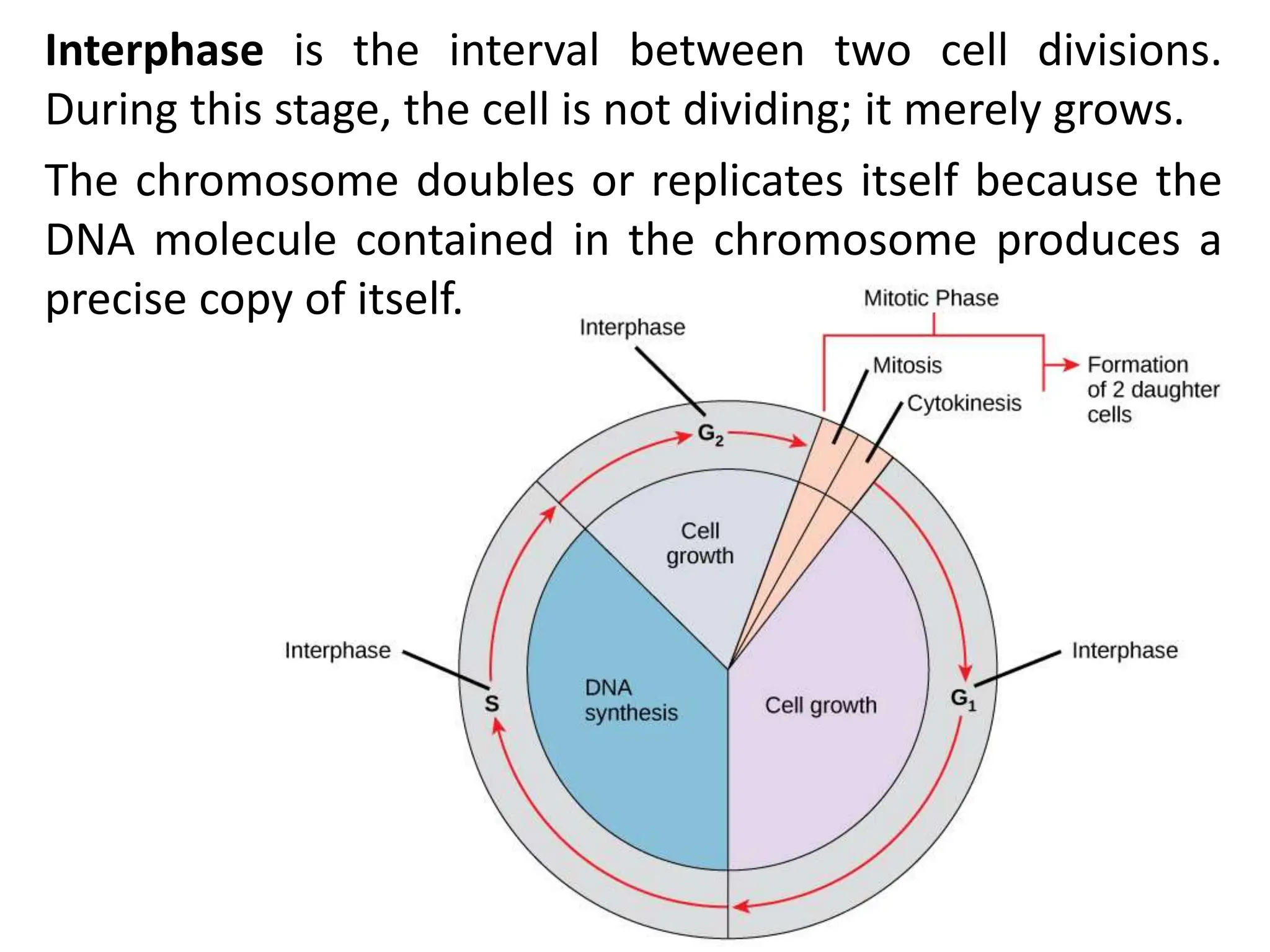 CELL CYCLE Division Science 8 quarter IV.pptx