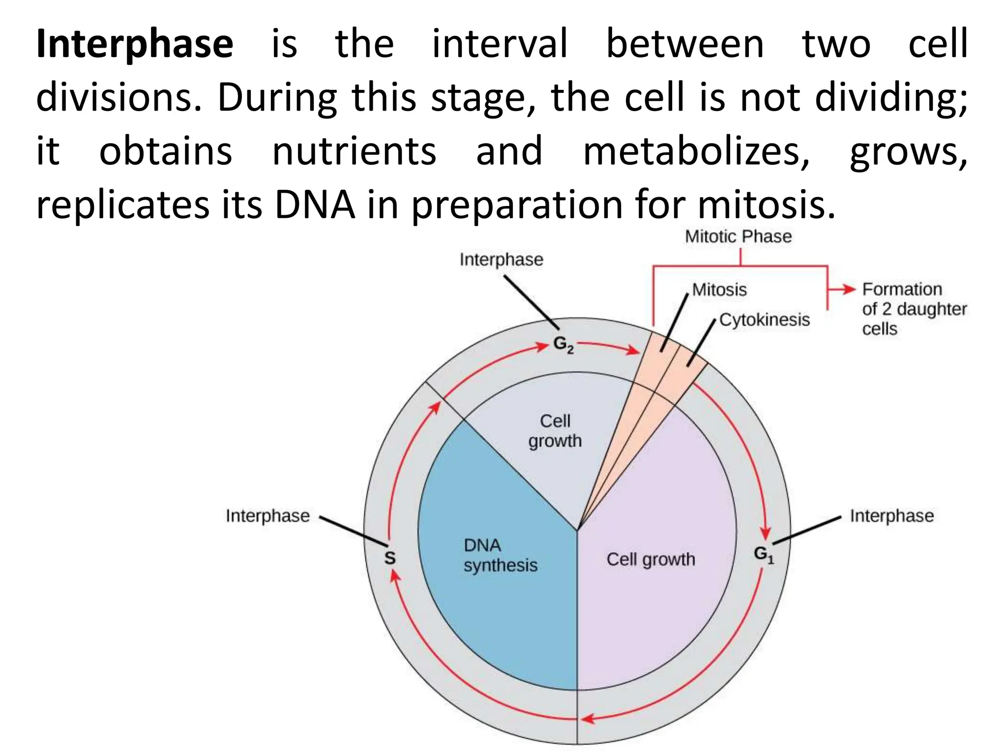 CELL CYCLE Division Science 8 quarter IV.pptx