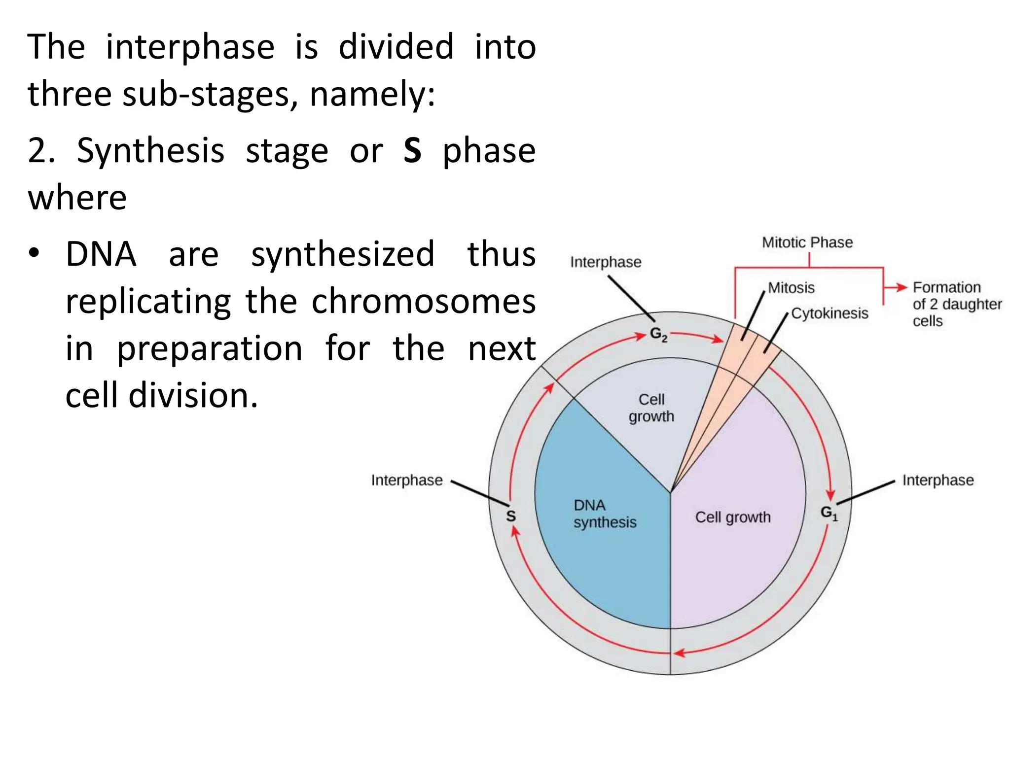 CELL CYCLE Division Science 8 quarter IV.pptx