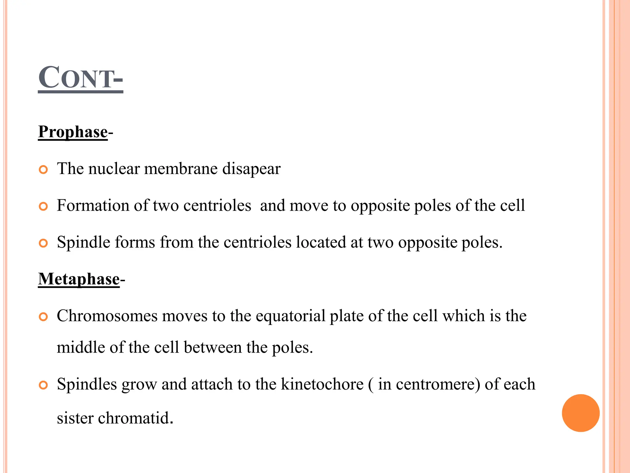 CONT-
Prophase-
 The nuclear membrane disapear
 Formation of two centrioles and move to opposite poles of the cell
 Spindle forms from the centrioles located at two opposite poles.
Metaphase-
 Chromosomes moves to the equatorial plate of the cell which is the
middle of the cell between the poles.
 Spindles grow and attach to the kinetochore ( in centromere) of each
sister chromatid.
 