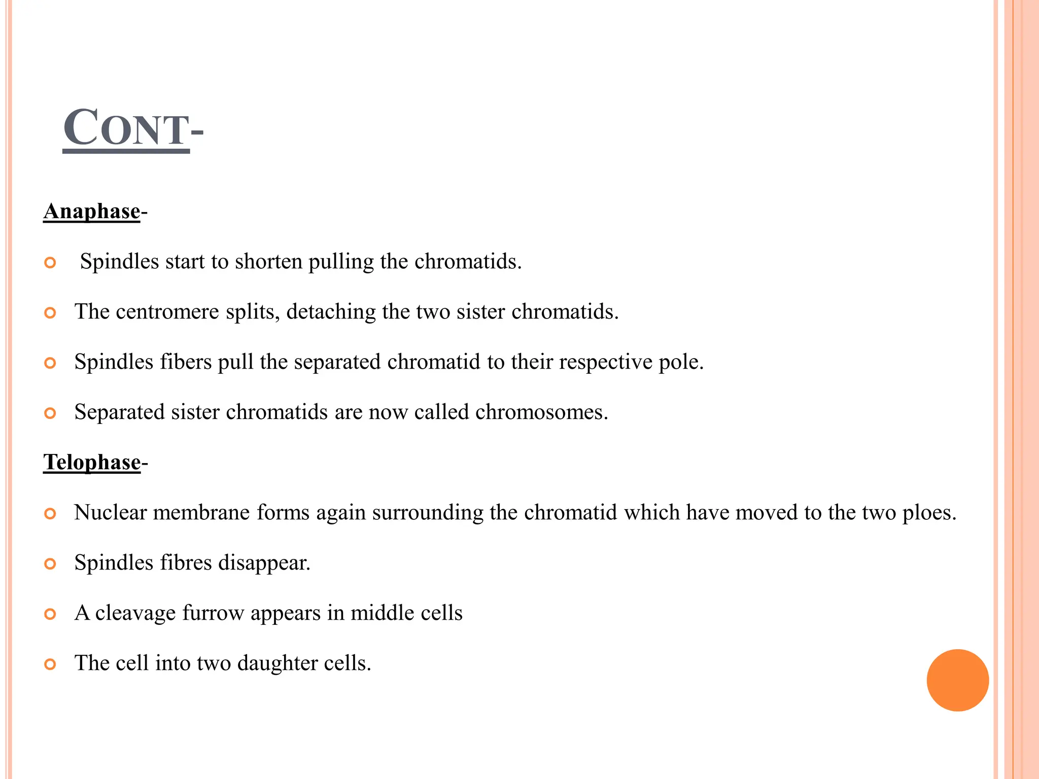 CONT-
Anaphase-
 Spindles start to shorten pulling the chromatids.
 The centromere splits, detaching the two sister chromatids.
 Spindles fibers pull the separated chromatid to their respective pole.
 Separated sister chromatids are now called chromosomes.
Telophase-
 Nuclear membrane forms again surrounding the chromatid which have moved to the two ploes.
 Spindles fibres disappear.
 A cleavage furrow appears in middle cells
 The cell into two daughter cells.
 