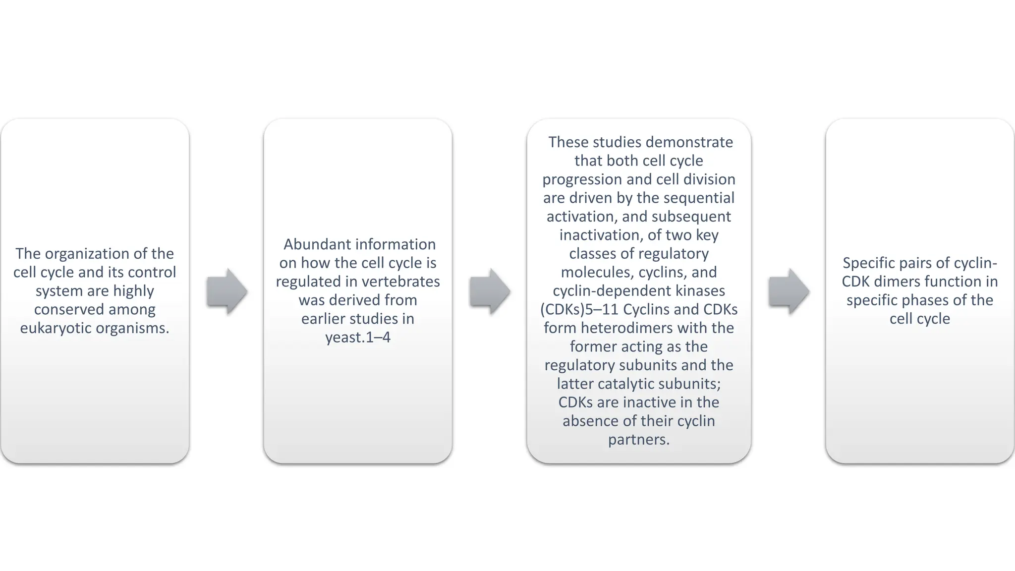 The organization of the
cell cycle and its control
system are highly
conserved among
eukaryotic organisms.
Abundant information
on how the cell cycle is
regulated in vertebrates
was derived from
earlier studies in
yeast.1–4
These studies demonstrate
that both cell cycle
progression and cell division
are driven by the sequential
activation, and subsequent
inactivation, of two key
classes of regulatory
molecules, cyclins, and
cyclin-dependent kinases
(CDKs)5–11 Cyclins and CDKs
form heterodimers with the
former acting as the
regulatory subunits and the
latter catalytic subunits;
CDKs are inactive in the
absence of their cyclin
partners.
Specific pairs of cyclin-
CDK dimers function in
specific phases of the
cell cycle
 