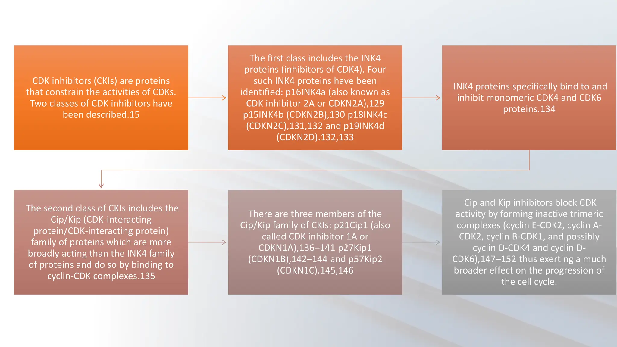 CDK inhibitors (CKIs) are proteins
that constrain the activities of CDKs.
Two classes of CDK inhibitors have
been described.15
The first class includes the INK4
proteins (inhibitors of CDK4). Four
such INK4 proteins have been
identified: p16INK4a (also known as
CDK inhibitor 2A or CDKN2A),129
p15INK4b (CDKN2B),130 p18INK4c
(CDKN2C),131,132 and p19INK4d
(CDKN2D).132,133
INK4 proteins specifically bind to and
inhibit monomeric CDK4 and CDK6
proteins.134
The second class of CKIs includes the
Cip/Kip (CDK-interacting
protein/CDK-interacting protein)
family of proteins which are more
broadly acting than the INK4 family
of proteins and do so by binding to
cyclin-CDK complexes.135
There are three members of the
Cip/Kip family of CKIs: p21Cip1 (also
called CDK inhibitor 1A or
CDKN1A),136–141 p27Kip1
(CDKN1B),142–144 and p57Kip2
(CDKN1C).145,146
Cip and Kip inhibitors block CDK
activity by forming inactive trimeric
complexes (cyclin E-CDK2, cyclin A-
CDK2, cyclin B-CDK1, and possibly
cyclin D-CDK4 and cyclin D-
CDK6),147–152 thus exerting a much
broader effect on the progression of
the cell cycle.
 