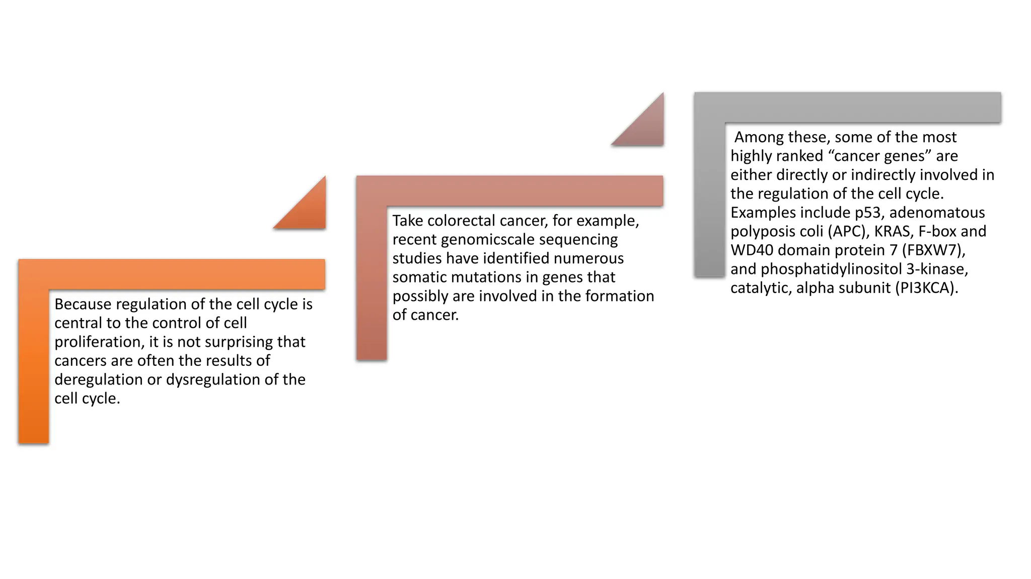 Because regulation of the cell cycle is
central to the control of cell
proliferation, it is not surprising that
cancers are often the results of
deregulation or dysregulation of the
cell cycle.
Take colorectal cancer, for example,
recent genomicscale sequencing
studies have identified numerous
somatic mutations in genes that
possibly are involved in the formation
of cancer.
Among these, some of the most
highly ranked “cancer genes” are
either directly or indirectly involved in
the regulation of the cell cycle.
Examples include p53, adenomatous
polyposis coli (APC), KRAS, F-box and
WD40 domain protein 7 (FBXW7),
and phosphatidylinositol 3-kinase,
catalytic, alpha subunit (PI3KCA).
 