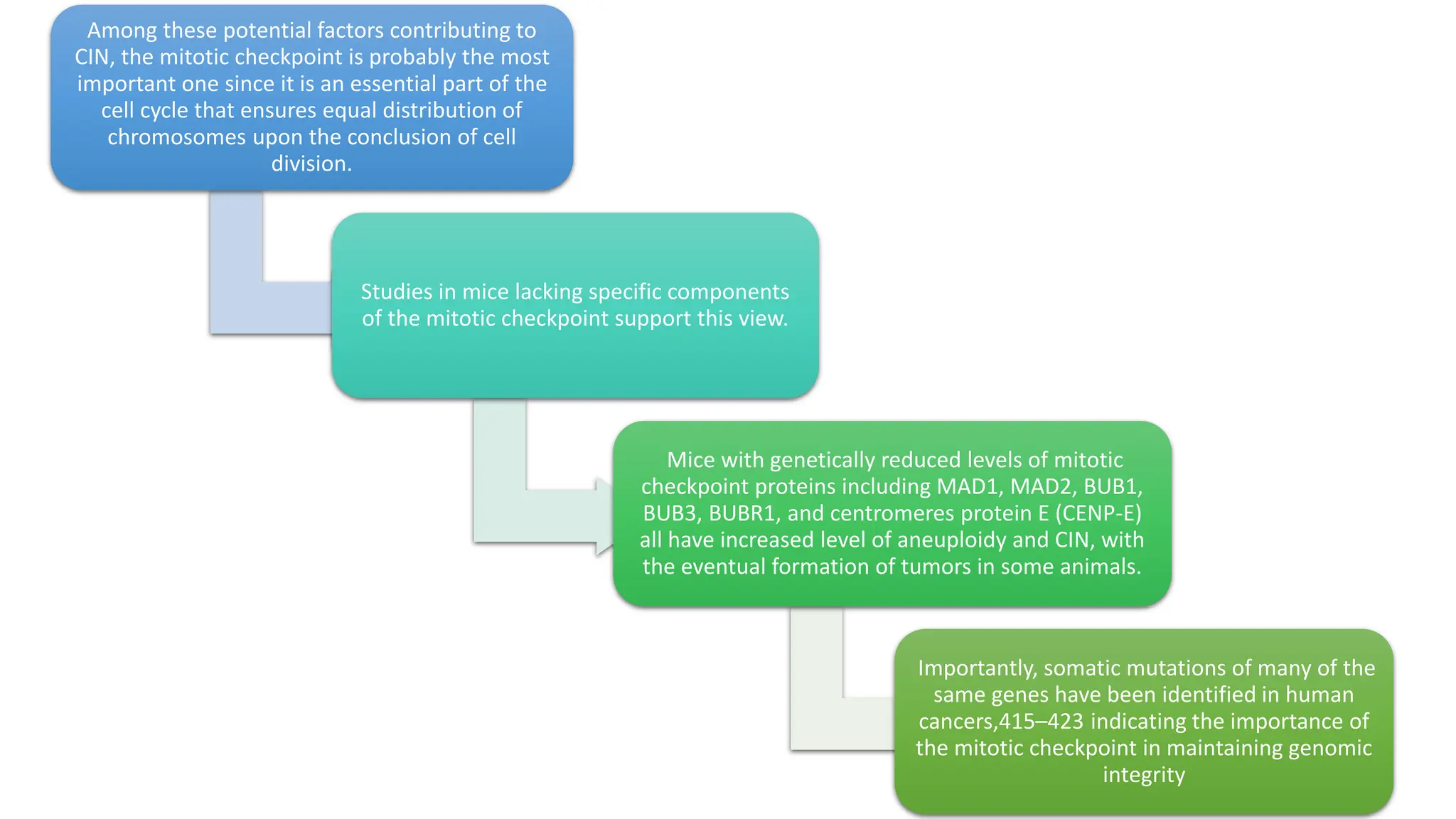 Among these potential factors contributing to
CIN, the mitotic checkpoint is probably the most
important one since it is an essential part of the
cell cycle that ensures equal distribution of
chromosomes upon the conclusion of cell
division.
Studies in mice lacking specific components
of the mitotic checkpoint support this view.
Mice with genetically reduced levels of mitotic
checkpoint proteins including MAD1, MAD2, BUB1,
BUB3, BUBR1, and centromeres protein E (CENP-E)
all have increased level of aneuploidy and CIN, with
the eventual formation of tumors in some animals.
Importantly, somatic mutations of many of the
same genes have been identified in human
cancers,415–423 indicating the importance of
the mitotic checkpoint in maintaining genomic
integrity
 