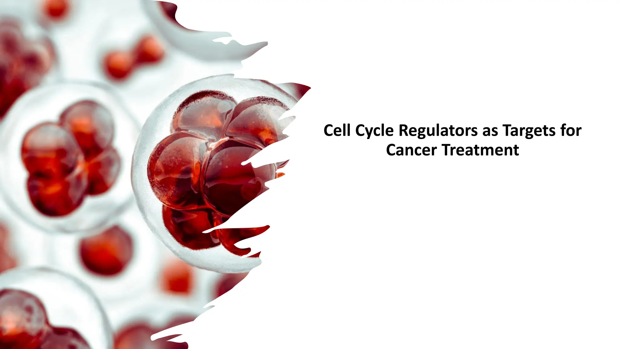 Cell Cycle Regulators as Targets for
Cancer Treatment
 