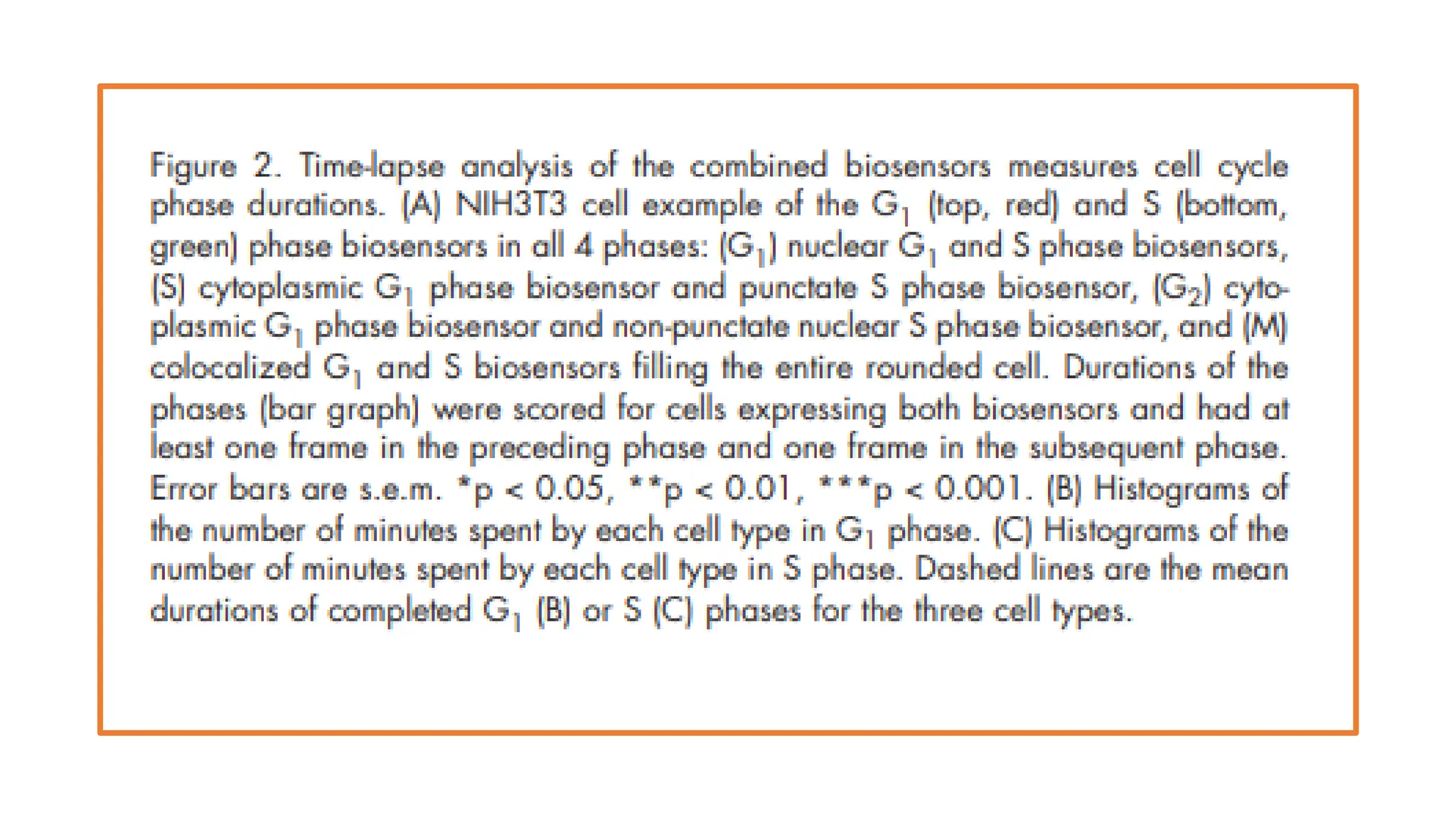 cell cycle: Phases, control and analysis.pdf