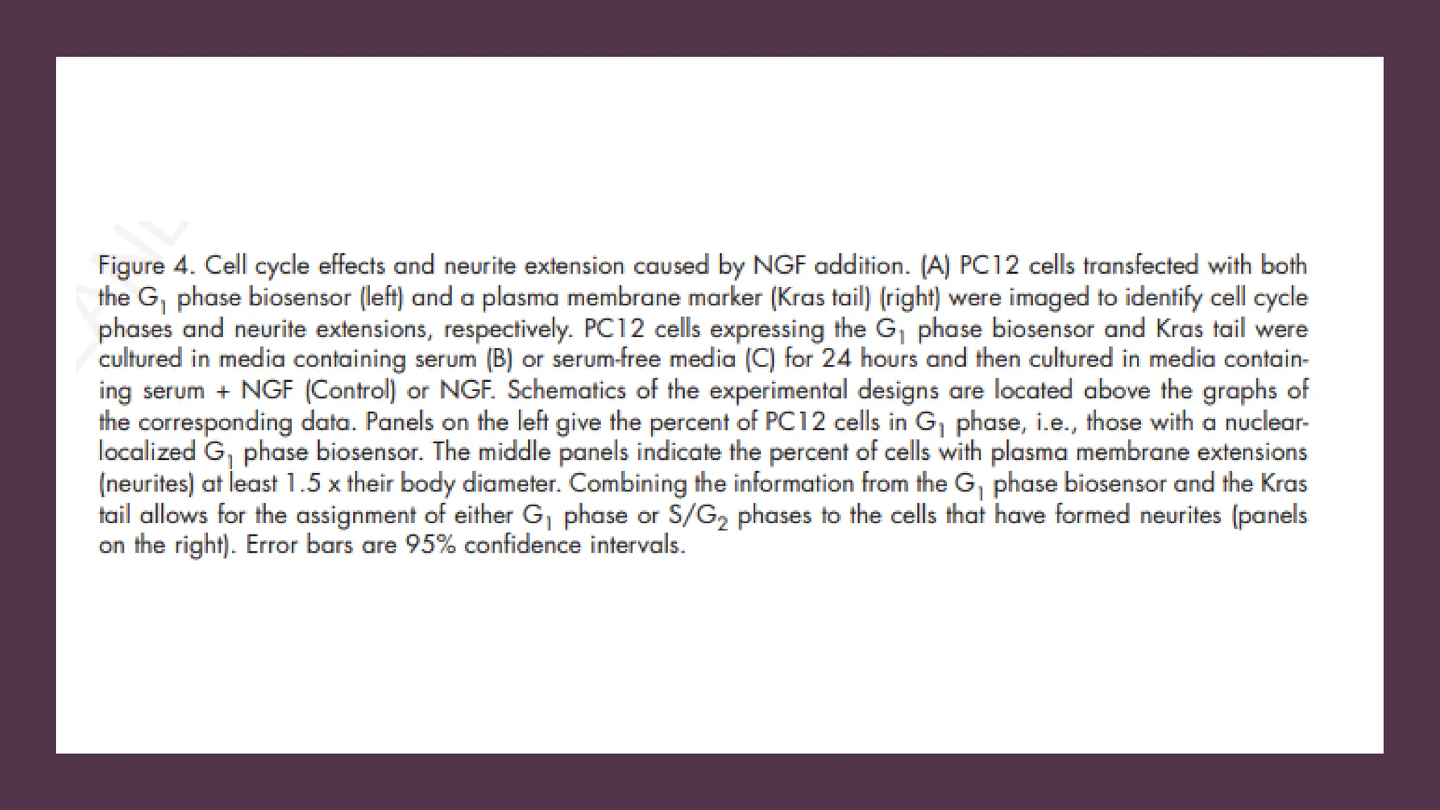 cell cycle: Phases, control and analysis.pdf