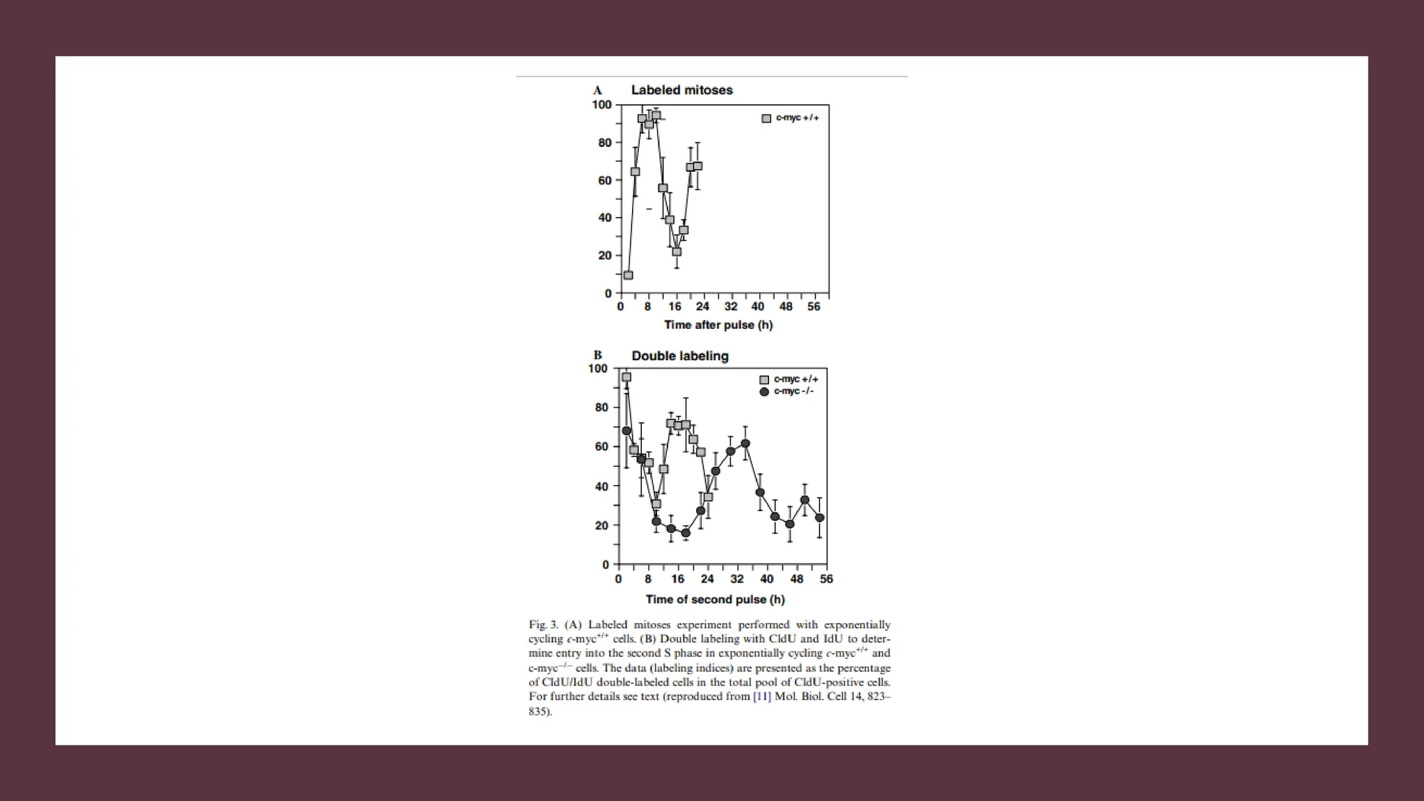 cell cycle: Phases, control and analysis.pdf