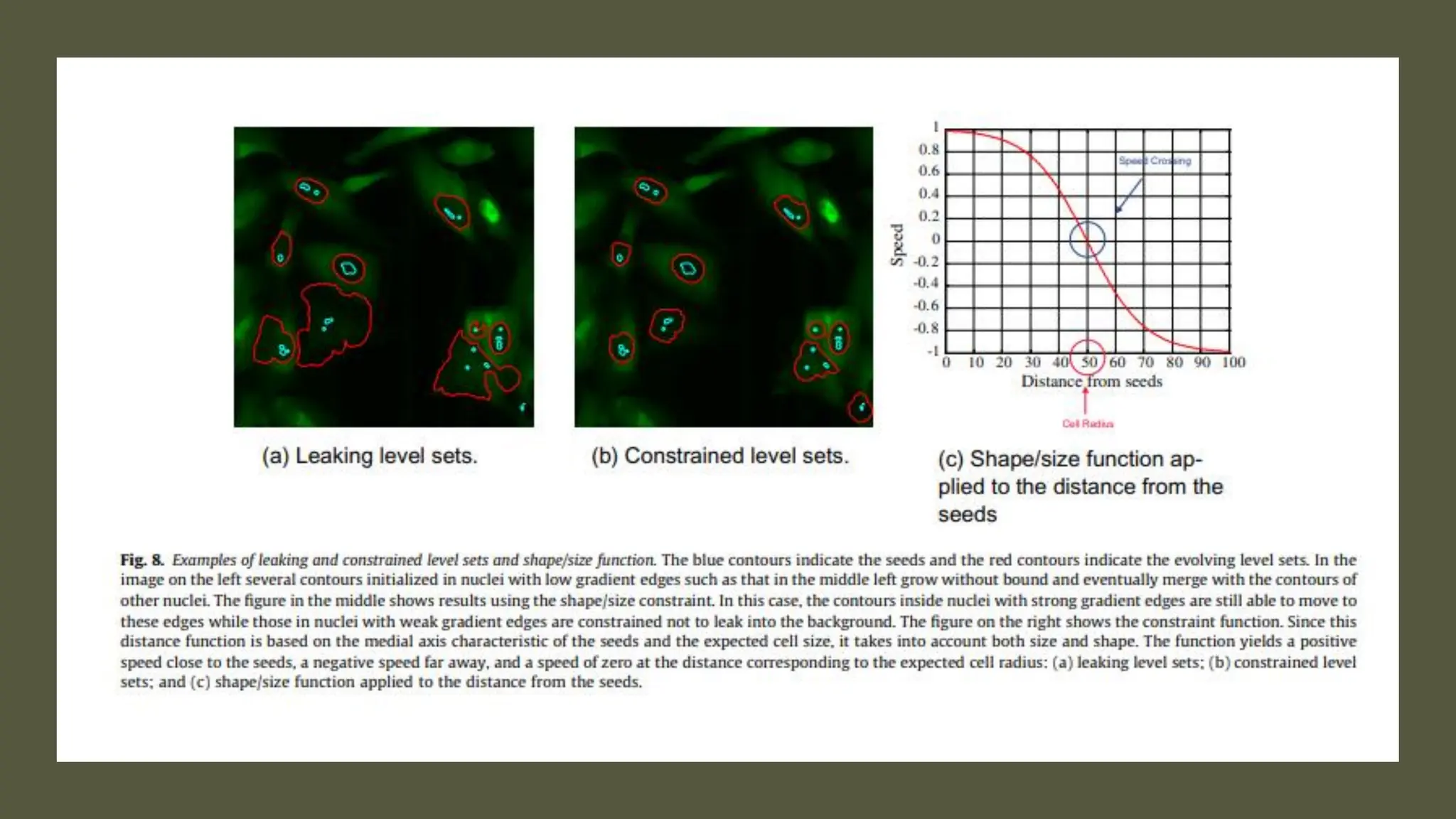 cell cycle: Phases, control and analysis.pdf