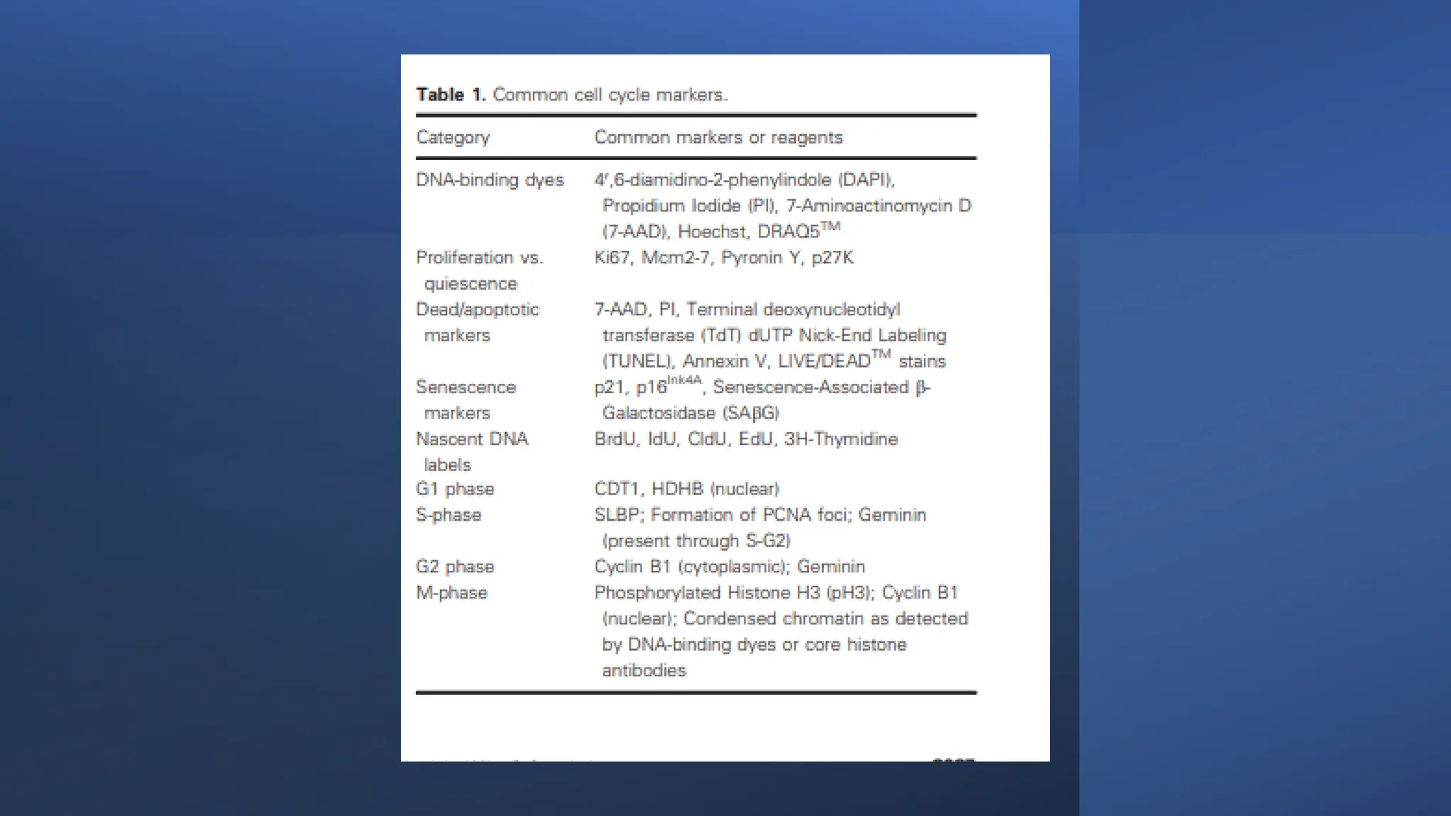 cell cycle: Phases, control and analysis.pdf