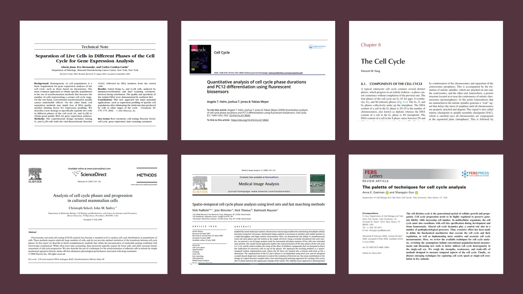 cell cycle: Phases, control and analysis.pdf