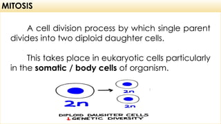 Comprehensive Lesson on Cell Division.pptx