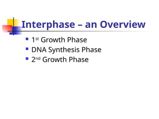 Interphase – an Overview
 1st
Growth Phase
 DNA Synthesis Phase
 2nd
Growth Phase
 