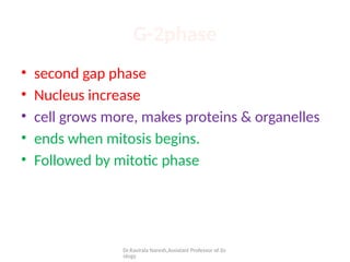 DIFFERENT STAGES OF CELL CYCLE AND INTERPHASE | PPTX